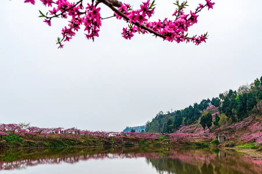 Longquan Lake