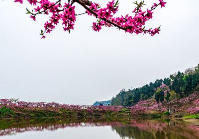 Longquan Lake