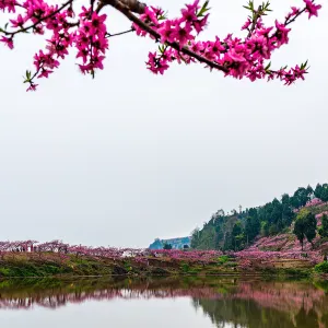 Longquan Lake