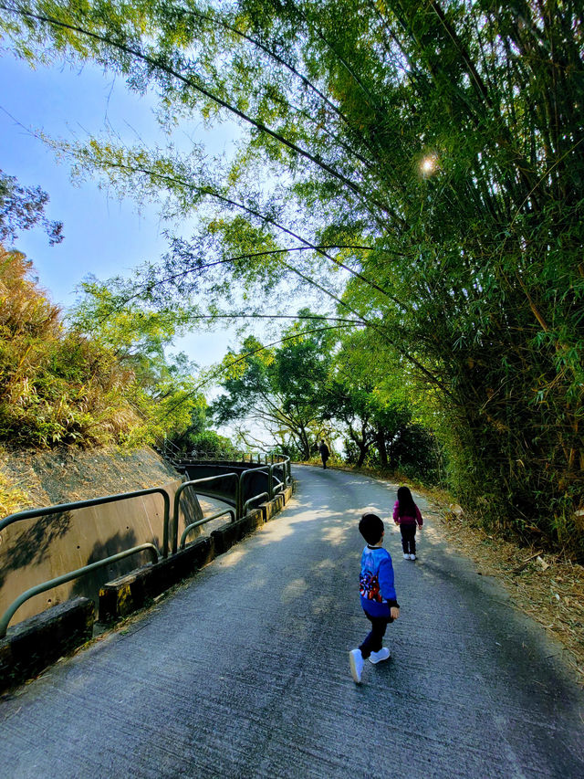 [ #親子好去處 #行山] 來一場尋找龍貓的旅程~