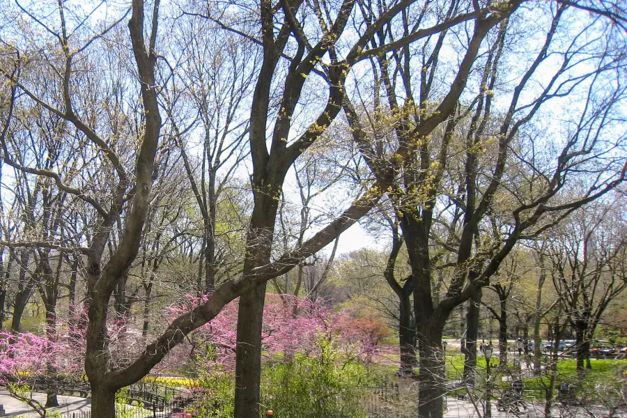 太陽宮體育休閒公園