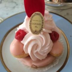 Laduree User Photo