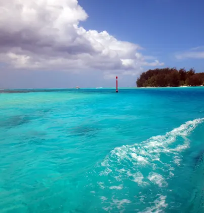 3-звездочные отели в г. Стон Таун