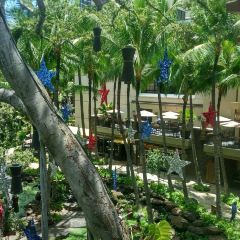 Island Vintage Coffee Waikiki User Photo