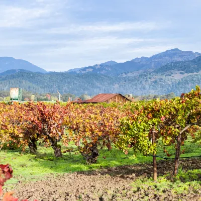 Colorful Cactus - Hot Tub, BBQ and Fire Pit! 4 Bedroom Home by RedAwning