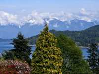 Sunshine Coast Paradise