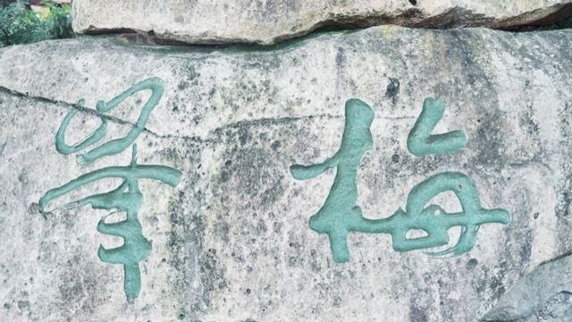 메이펑다오