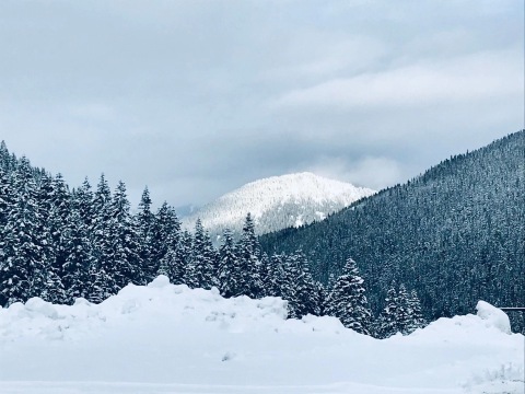 フッド山のレビュー フッド山のチケット フッド山の割引 フッド山の交通機関 所在地 営業時間 フッド山周辺の観光スポット ホテル グルメ Trip Com