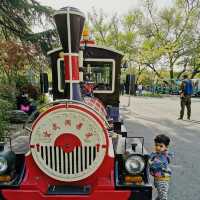 Train Ride 