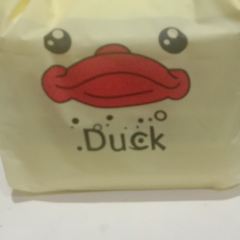 Zhouhei Duck (cengdoujiefanglu) User Photo