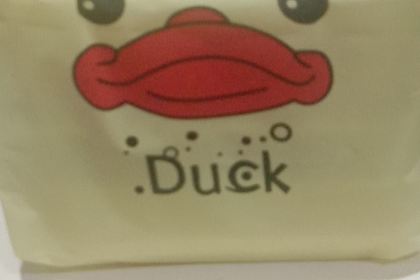 Zhouhei Duck (cengdoujiefanglu)