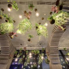 Green House - 1 Hotel Haitang Bay 여행 사진