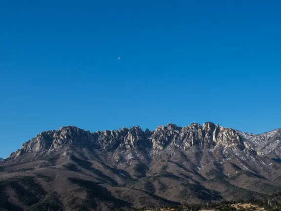 Các đánh giá Yangyang Alps Beach