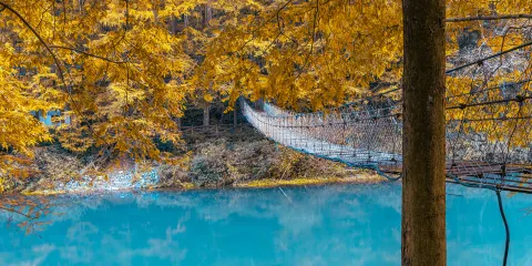 長潭崗景區郵輪票優待(小童/長者/殘疾人士/軍人/消防員等)