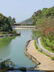 Shan Ding Jingqu-Maofeng Mountain Forest Park