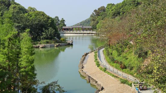 Shan Ding Jingqu-Maofeng Mountain Forest Park