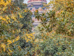 Gufeng Tower