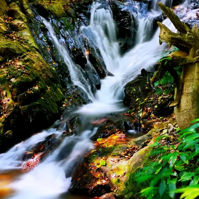 羅平雲上花鄉·古養小築高端民宿