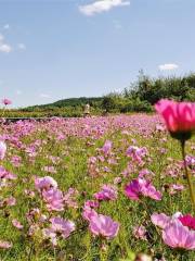 花間小築