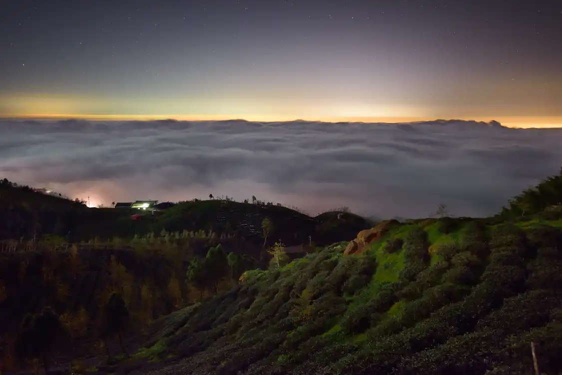 Hotels near Dalunshan Tea Garden Ginkgo Forest
