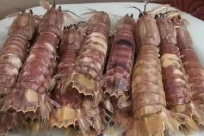 宁海强蛟镇峡山包船75号船