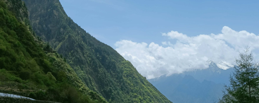 阿爾溝