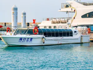 Haikou Bay Night Tour