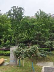 Jinfeng Park