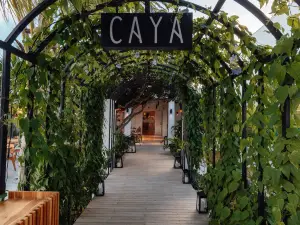 CAYA House Aruba