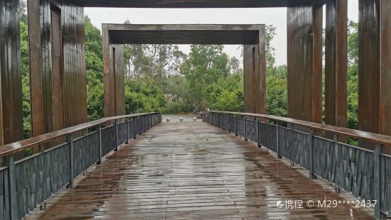 青龍湖濕地公園-觀景台