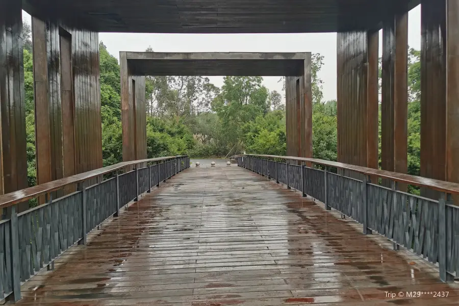 Observation Deck, Qinglong Lake Wetland Park