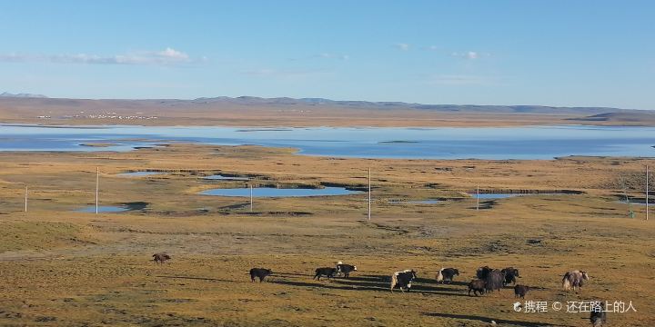 Qiangtang Grassland