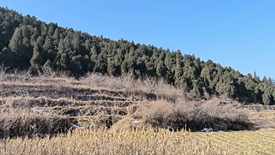 平陰獅耳山