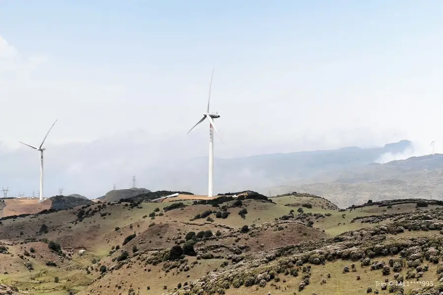 Poshang Grassland Scenic