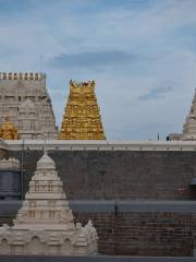 Sri Kamakshi Amman Temple, Kanchipuram