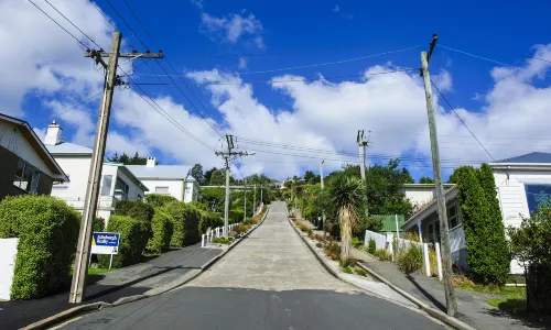Baldwin Street - The Steepest Street in the World