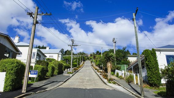 Baldwin Street - The Steepest Street in the World