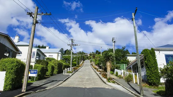 Baldwin Street - The Steepest Street in the World