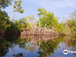 Ventanilla Community Ecotourism