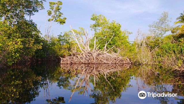Ventanilla Community Ecotourism
