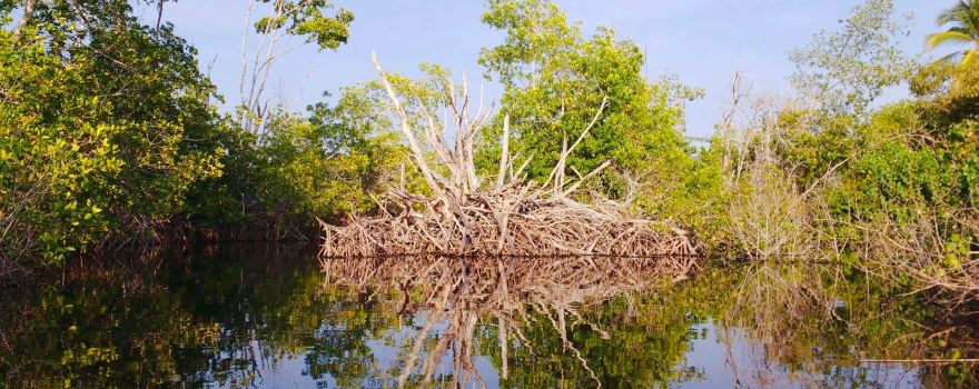 Ventanilla Community Ecotourism