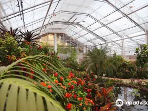 Butterfly Biosphere