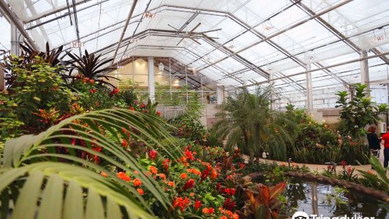 Butterfly Biosphere