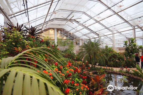 Butterfly Biosphere