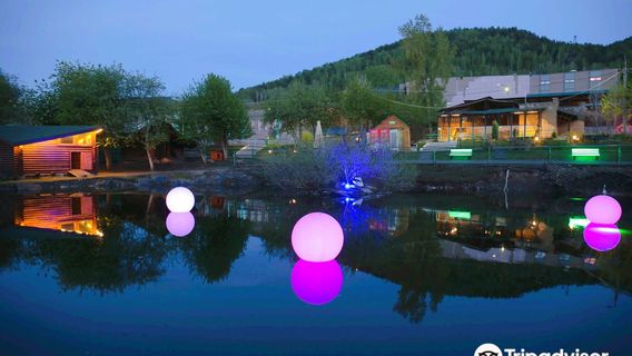 Gorodskoy Park Flory I Fauny Royev Ruchey