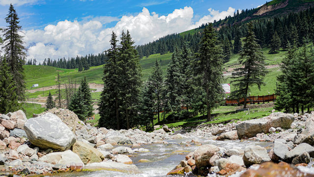 Binggou Linhai Scenic Spot