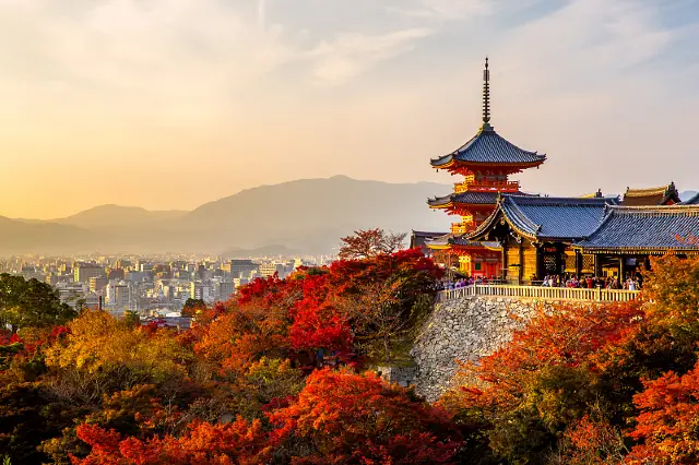 Admire Maple Leaves in Kyoto
