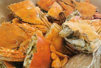 Popular dishes
