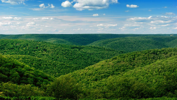 Ulysses Township