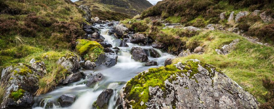 Grey Mare's Tail Nature Reserve